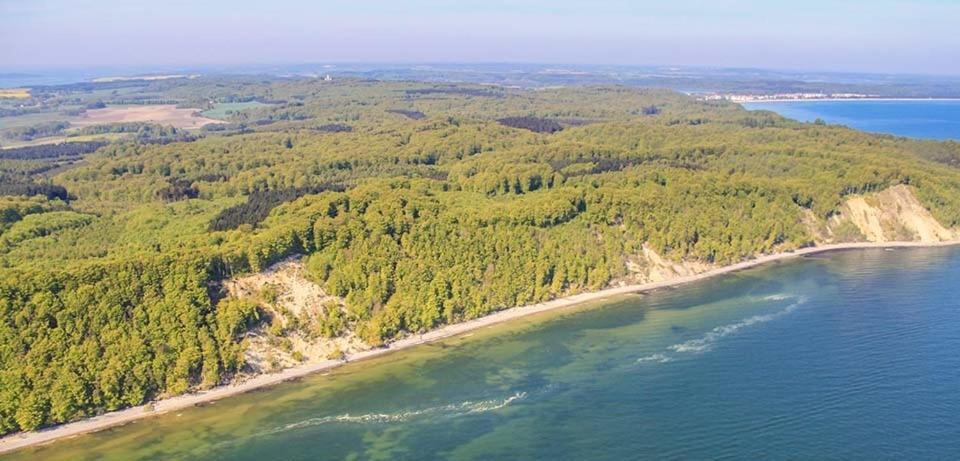 Altes Fischerhaus In Binz Cameră foto