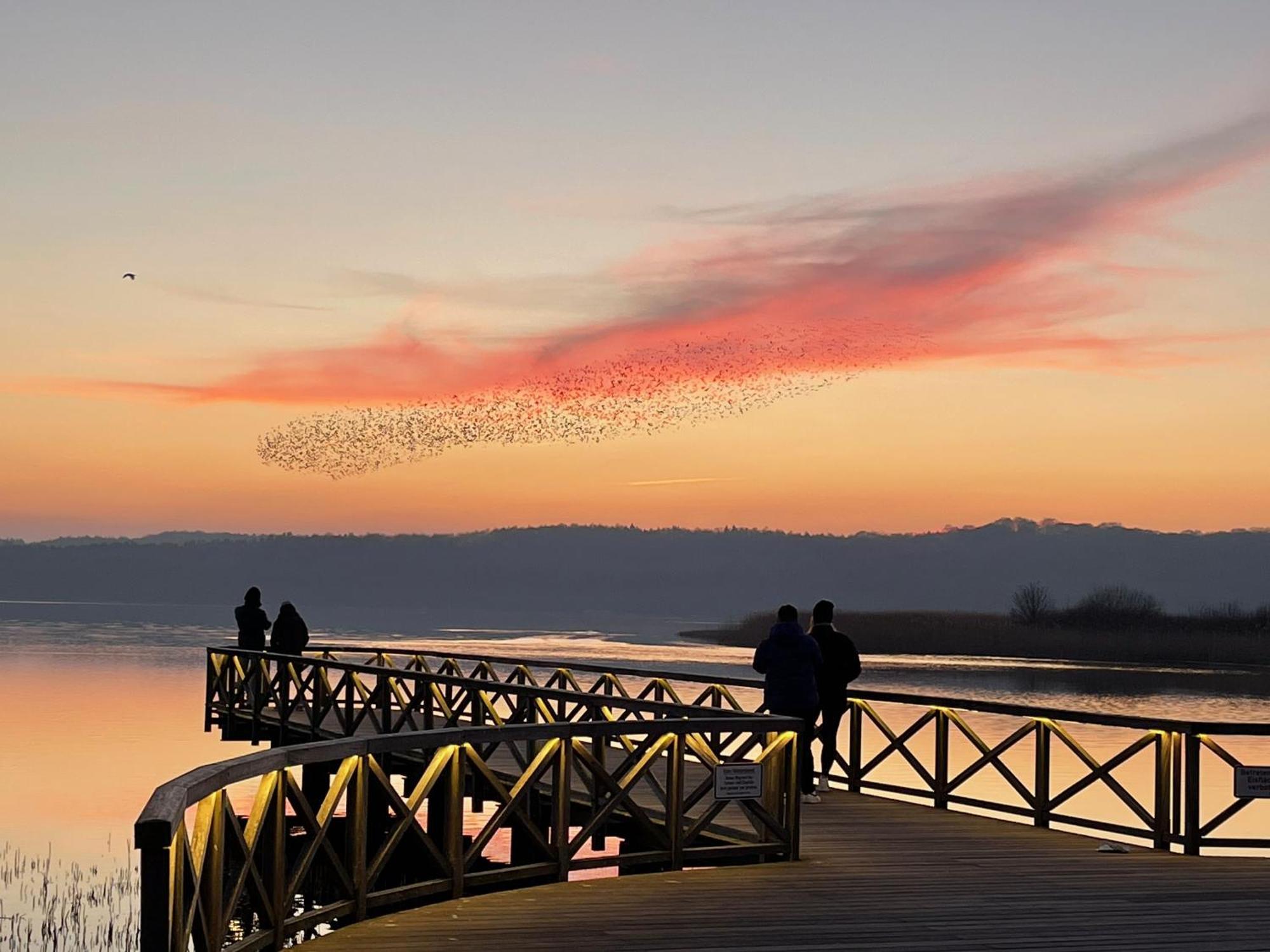Altes Fischerhaus In Binz Cameră foto